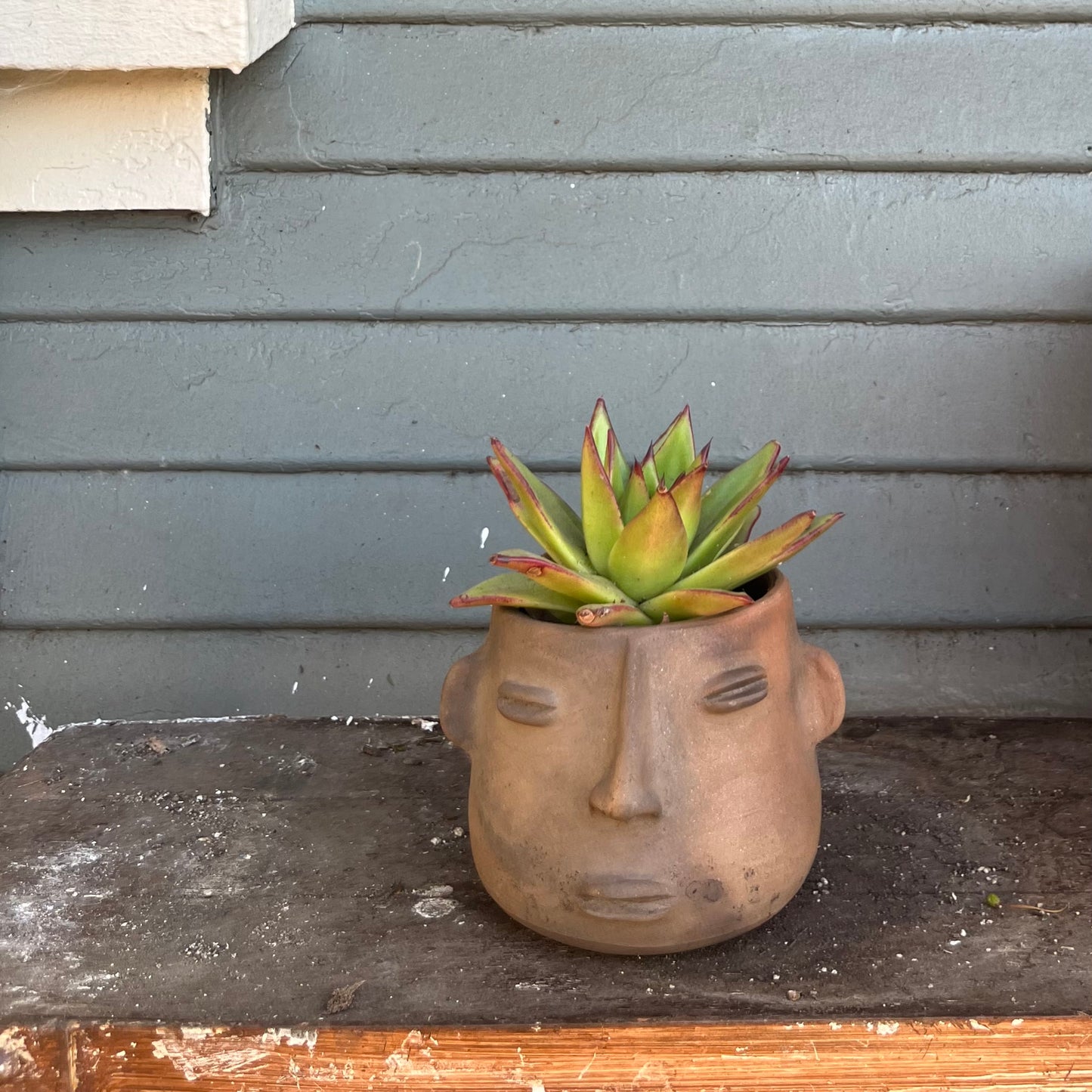 Cara Dormida Plant Pot by Derrumbe