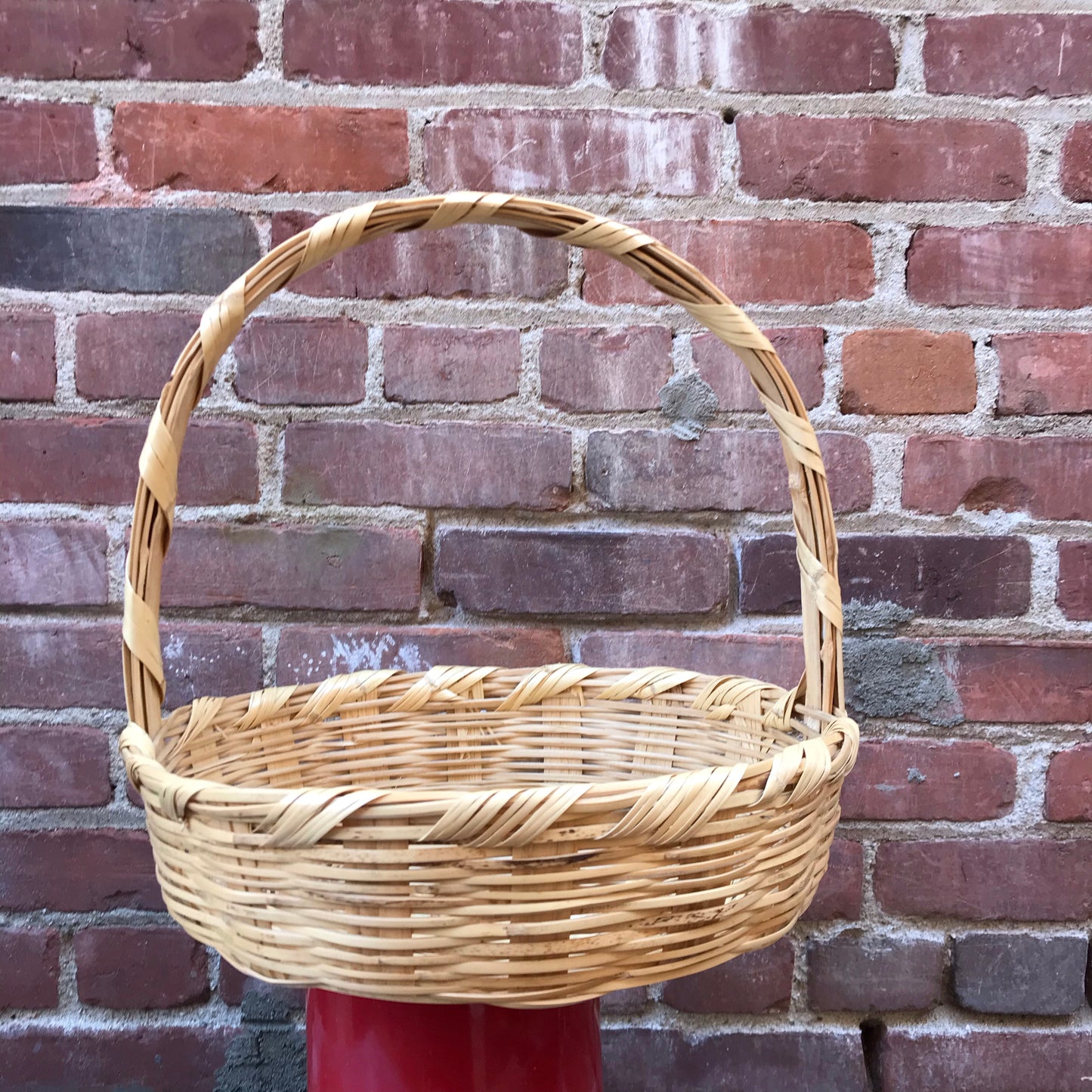 Dried River Reed Carrizo Basket with Handle