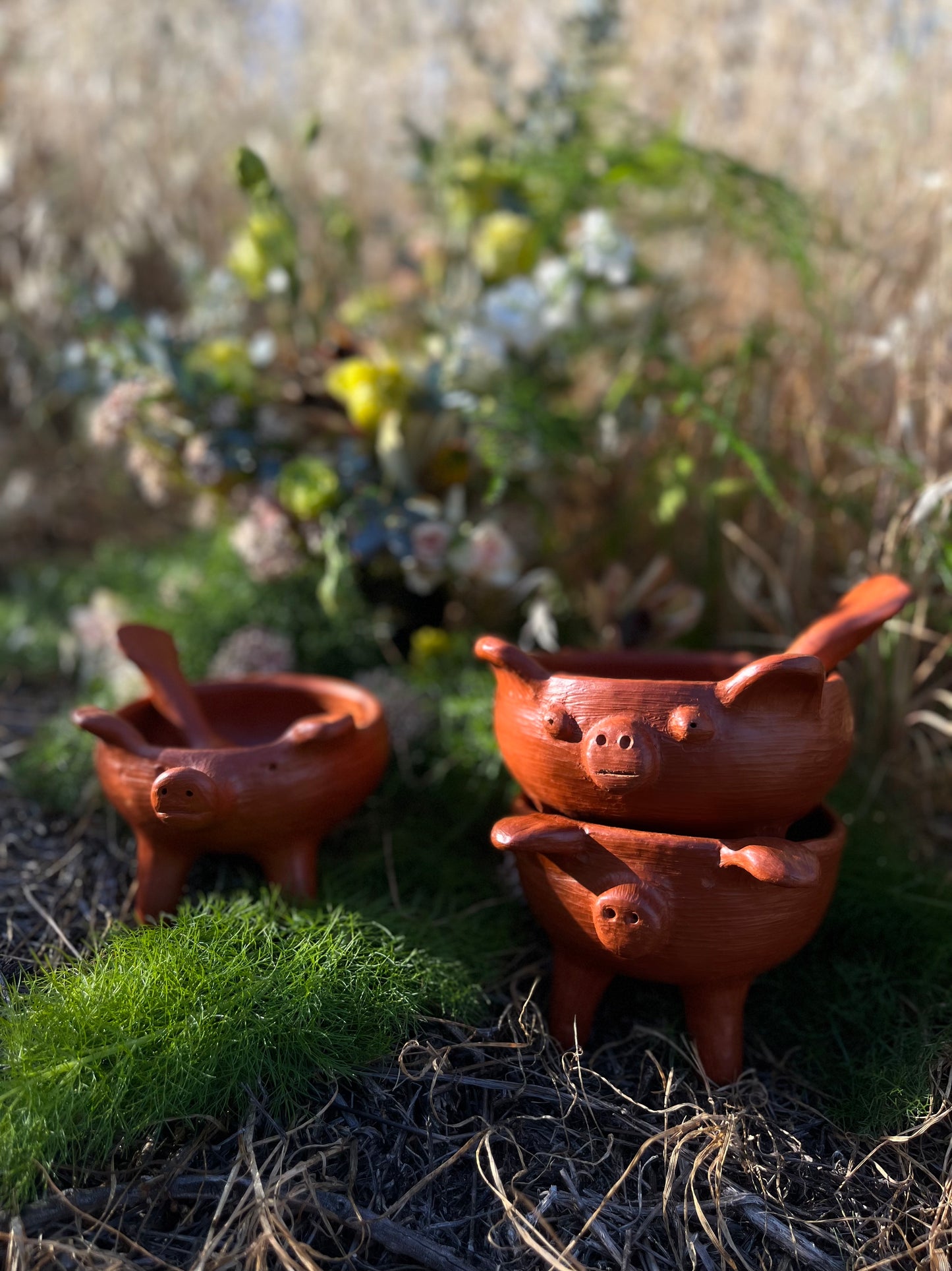 Pig Bowl in Barro Rojo by Mujeres Del Barro Rojo