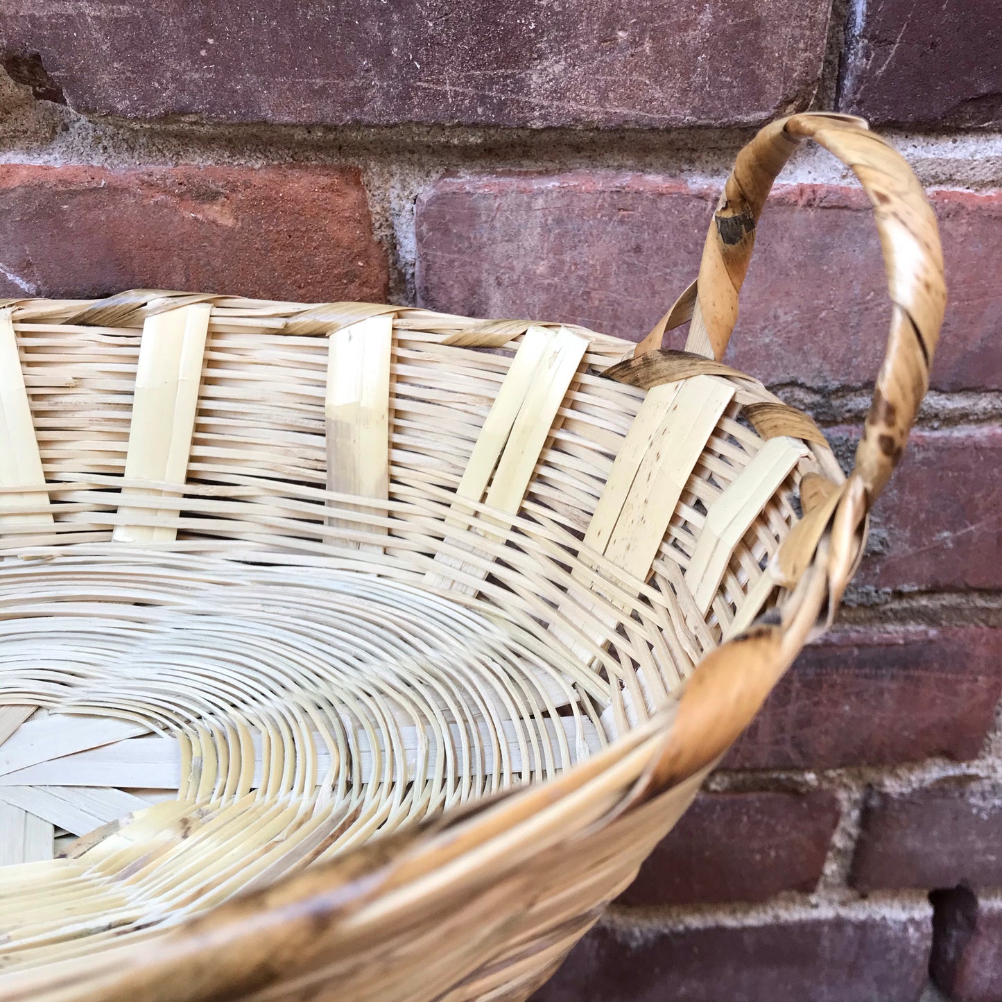 Dried River Reed Carrizo Small Oval Basket with Handles